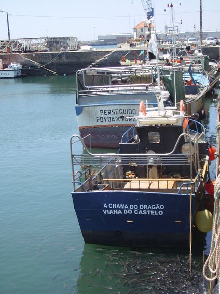 Barcos de pesa portugueses en Viana do Castelo