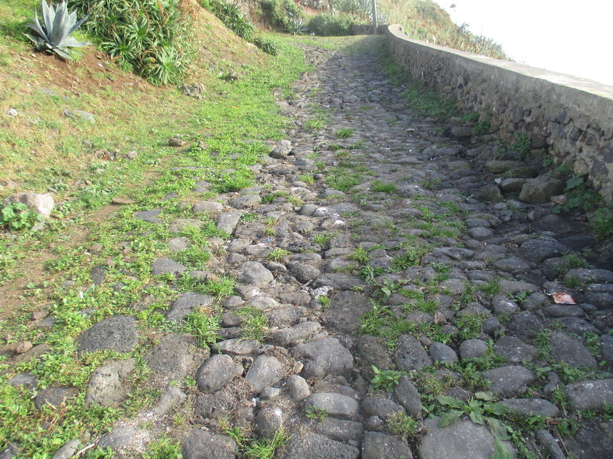 camino típico de Santa María