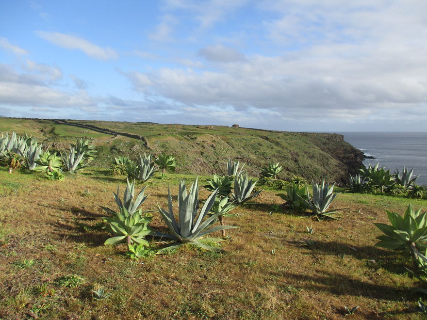 paisaje típico de la parte llana de la isla de Santa María