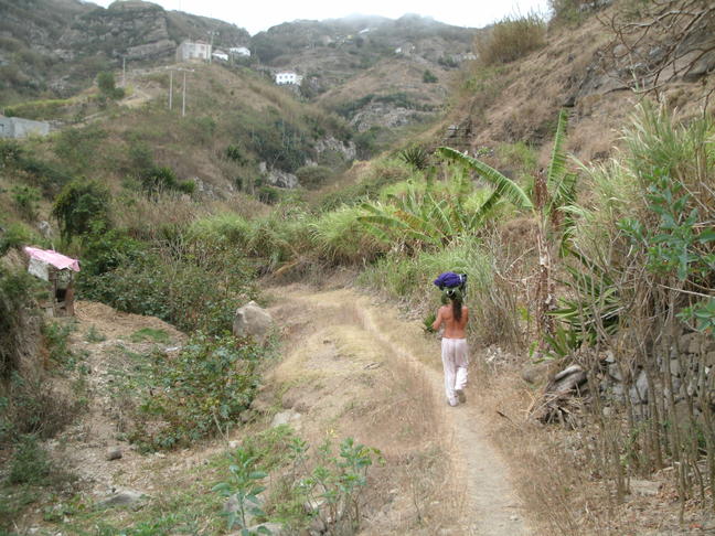 Nacho el marinero explorando nuevos caminos