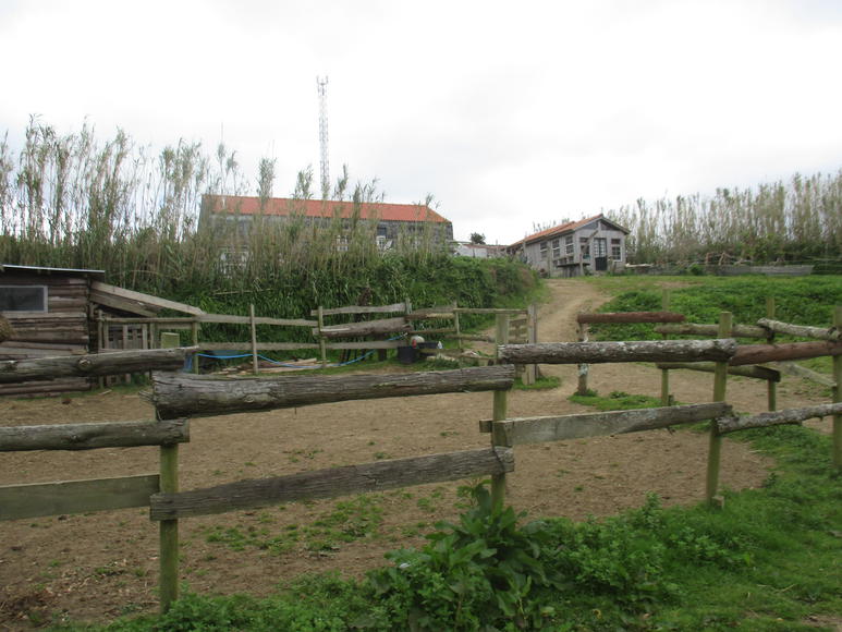 La finca de Ninovan en Faial 