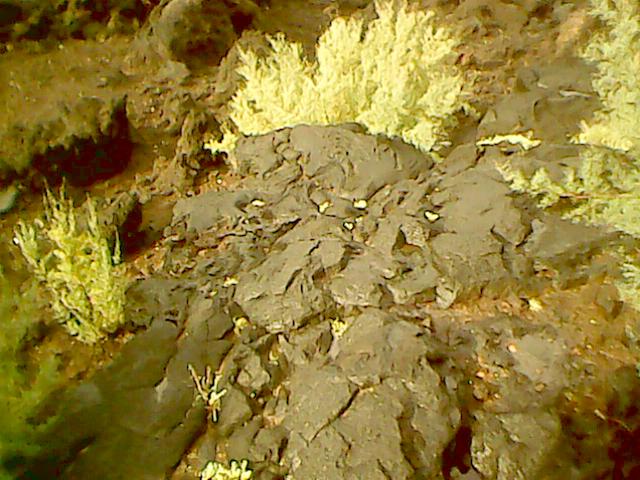 Lava reciente en la isla del Pico