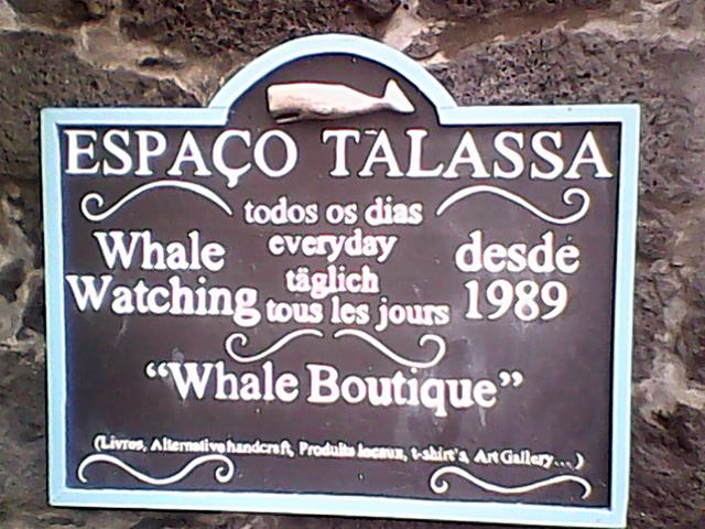 Espaço Talassa, isla del Pico