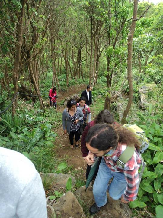 Nacho de excursión por la laurisilva florentina con el grupo de montaña de la isla