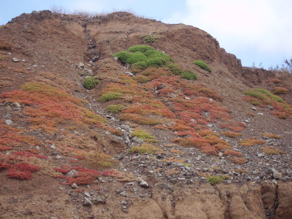 Rocas volcánicas en Porto Santo