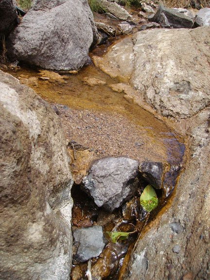 Oasis en las montañas de Porto Santo