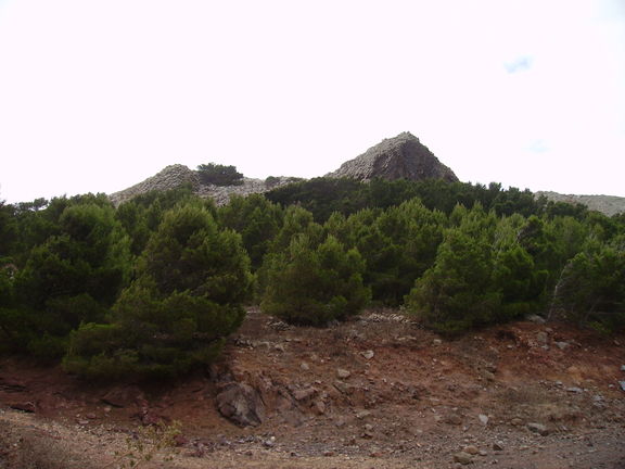 El pico de Ana Ferreira, Porto Santo