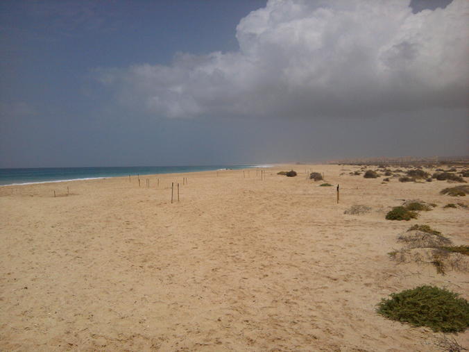 playa de santa mónica de boa vista