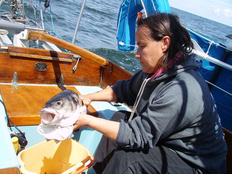 Lubina recien pescada