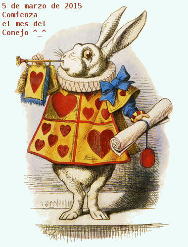 Rabbit Alice announcing the start of his month