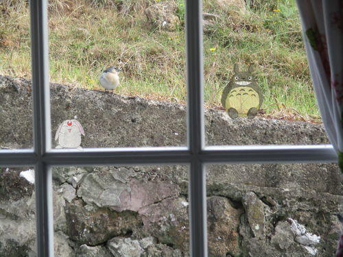 pajarito visto a través de una ventana de madera tradicional