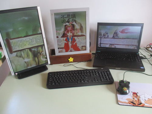 portatil funcionando con 3 monitores en modo Xinerama
