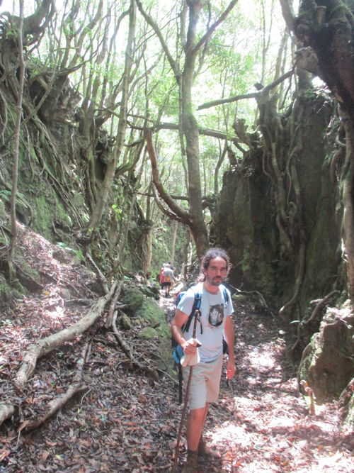 Nacho de excursión en Santa María