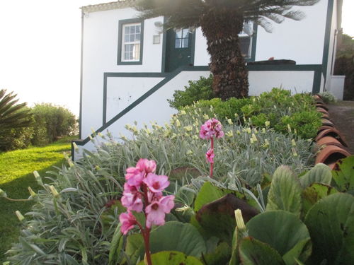 jardín otoñal en Azores