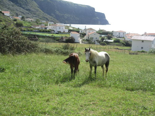 Caballos da Praia Formosa