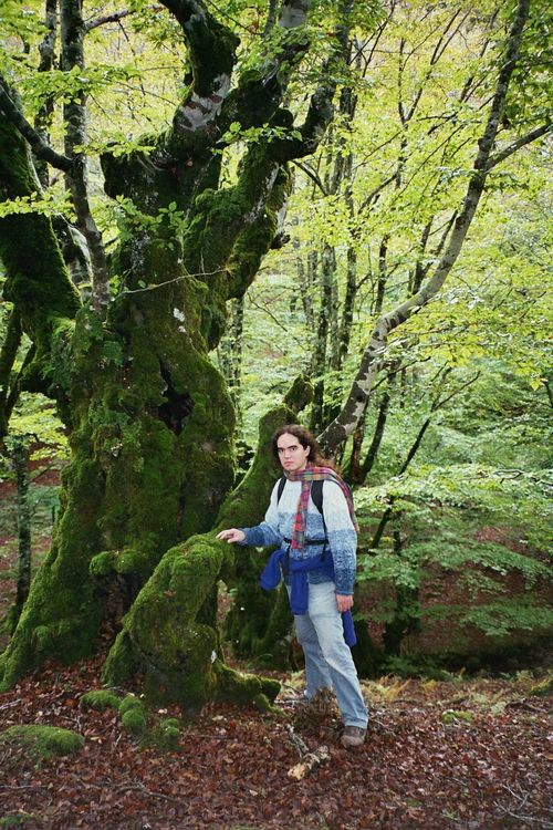 Nacho en el bosque de Irati