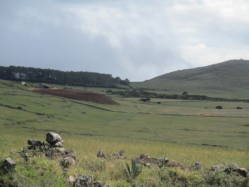 Campos de Malbusca