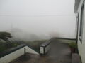 Nevoeiro en Malbusca
