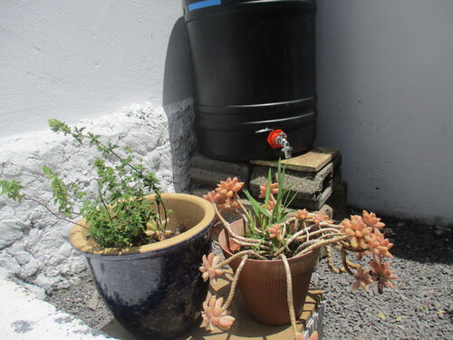 depósito de agua de lluvia para regar las plantas