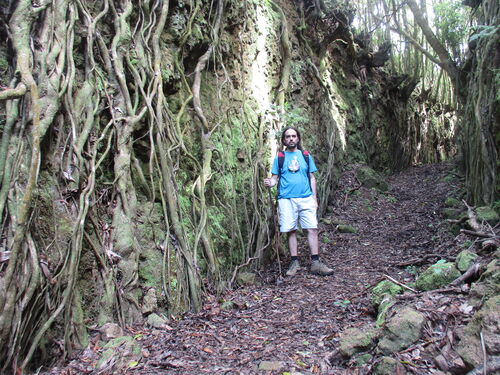 Camino antiguo hundido en el terreno