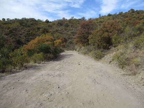 Típica carretera sin asfaltar de las sierras cordobesas