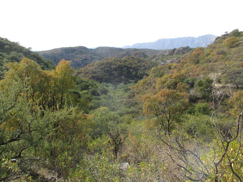 Sierra cordobesa con el Uritorco al fondo