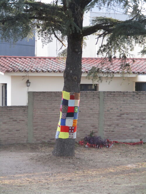 Árbol decorado en jardín particular de Puerto Madryn