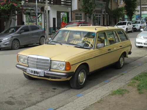 Mercedes ranchera en Esquel