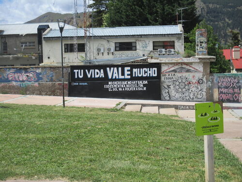 Grafiti tu vida vale mucho