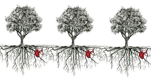 Las personas somos como árboles unidos por sus raices