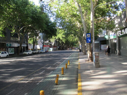 Prolija calle del centro de Mendoza