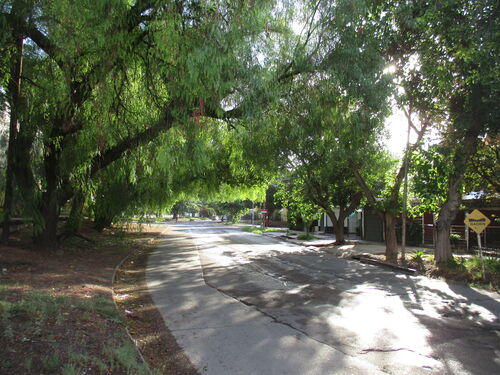 Típica calle residencial del Gran Mendoza, barrio UJEMVI, Las Heras