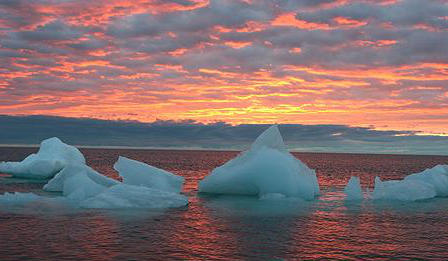 Icebergs floating in the sea