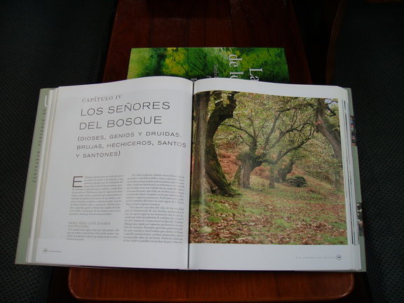 El libro la Memoría del Bosque de Ignacio Abella