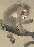 macaco desenhado por Hokusai