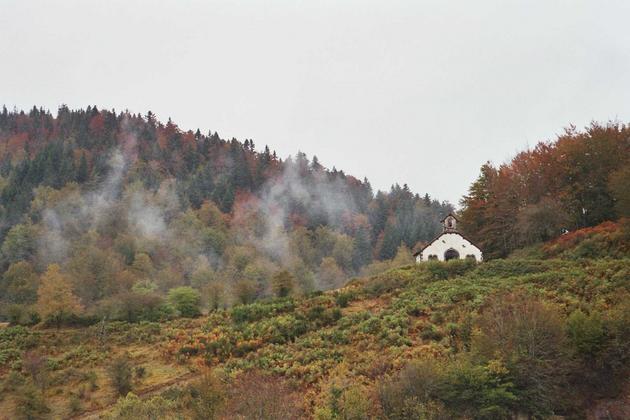 Bosque de Irati