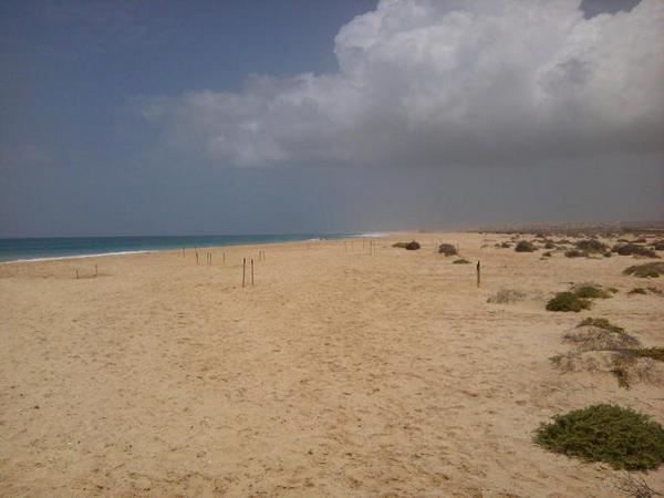 Playa de Santa Mónica en Boavista