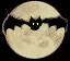 chauve-souris, vampire?